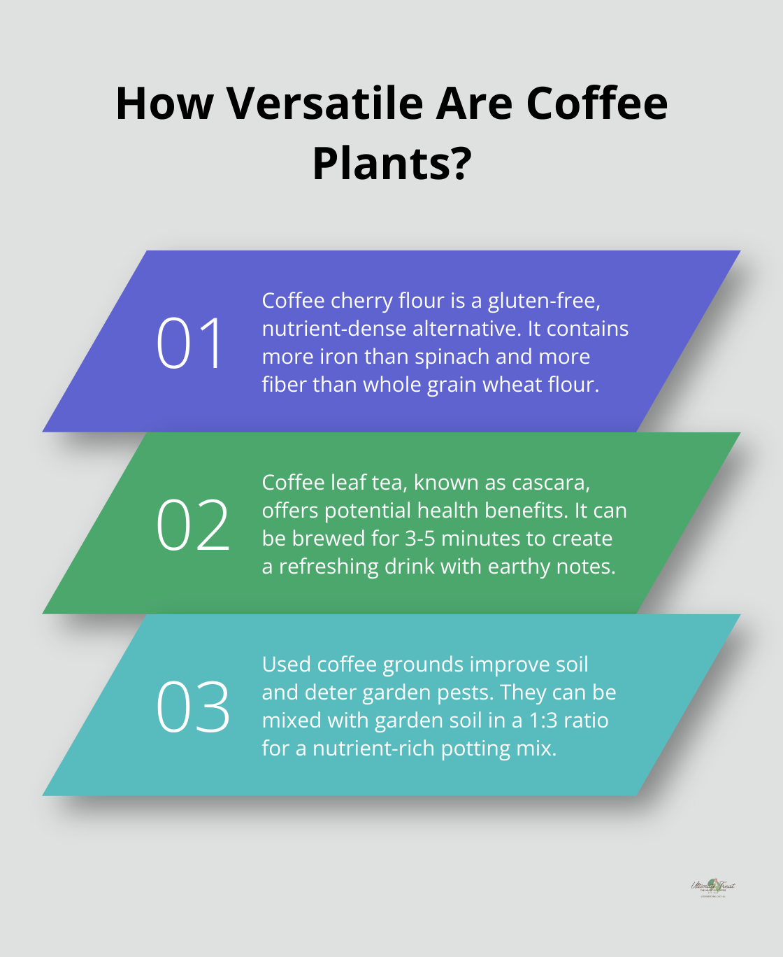 Fact - How Versatile Are Coffee Plants?