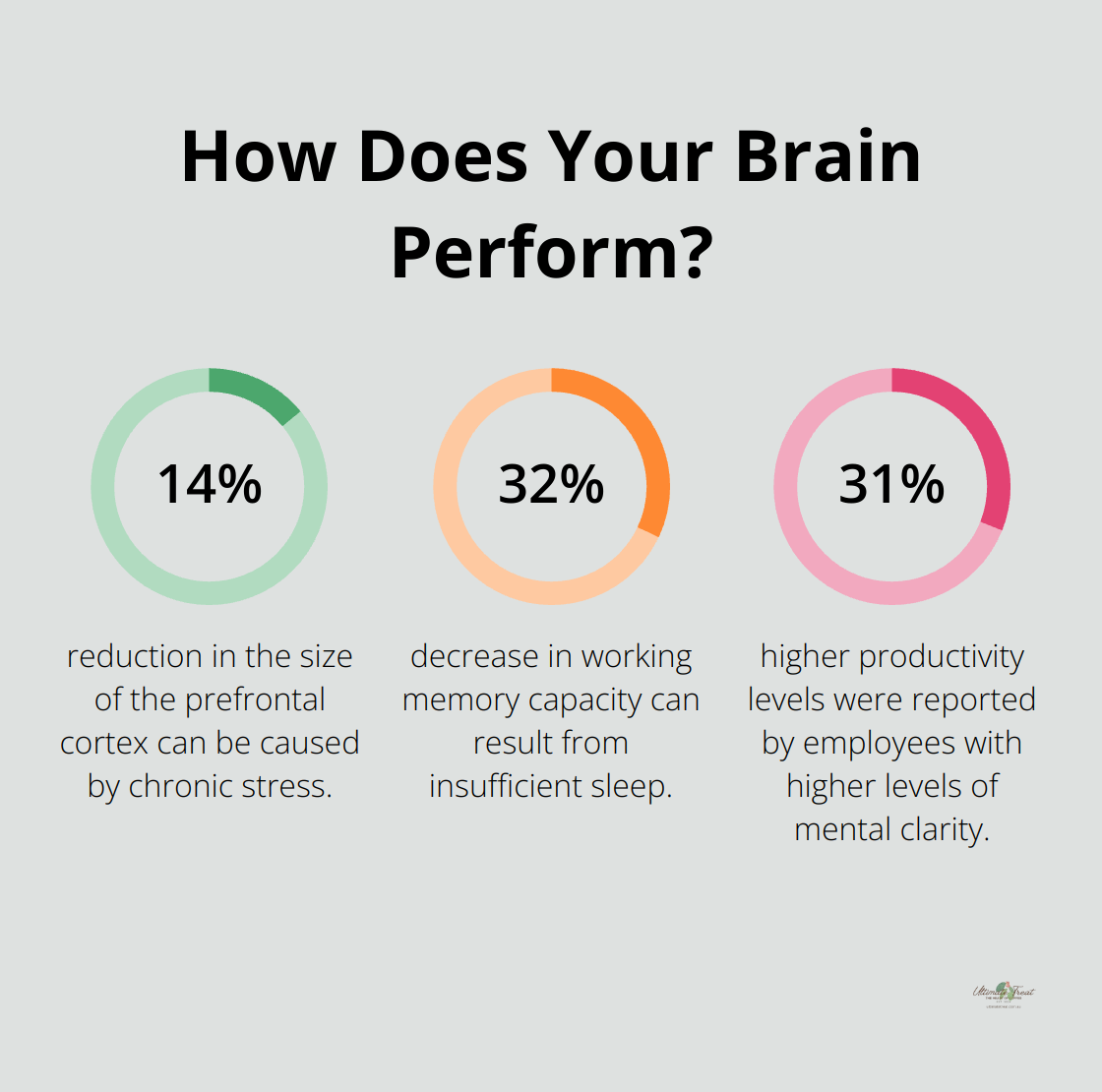 Fact - How Does Your Brain Perform?
