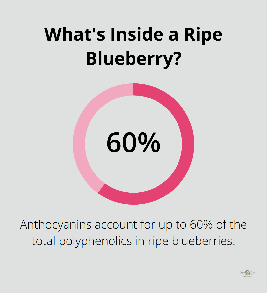 Infographic: What's Inside a Ripe Blueberry?