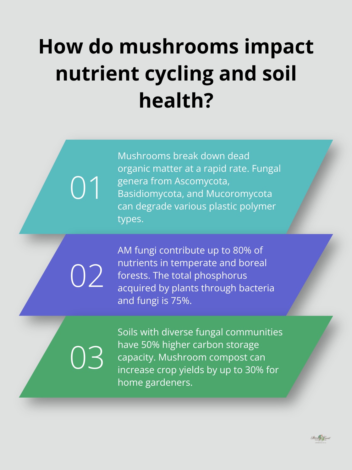 Infographic: How do mushrooms impact nutrient cycling and soil health? - mushroom environmental benefits