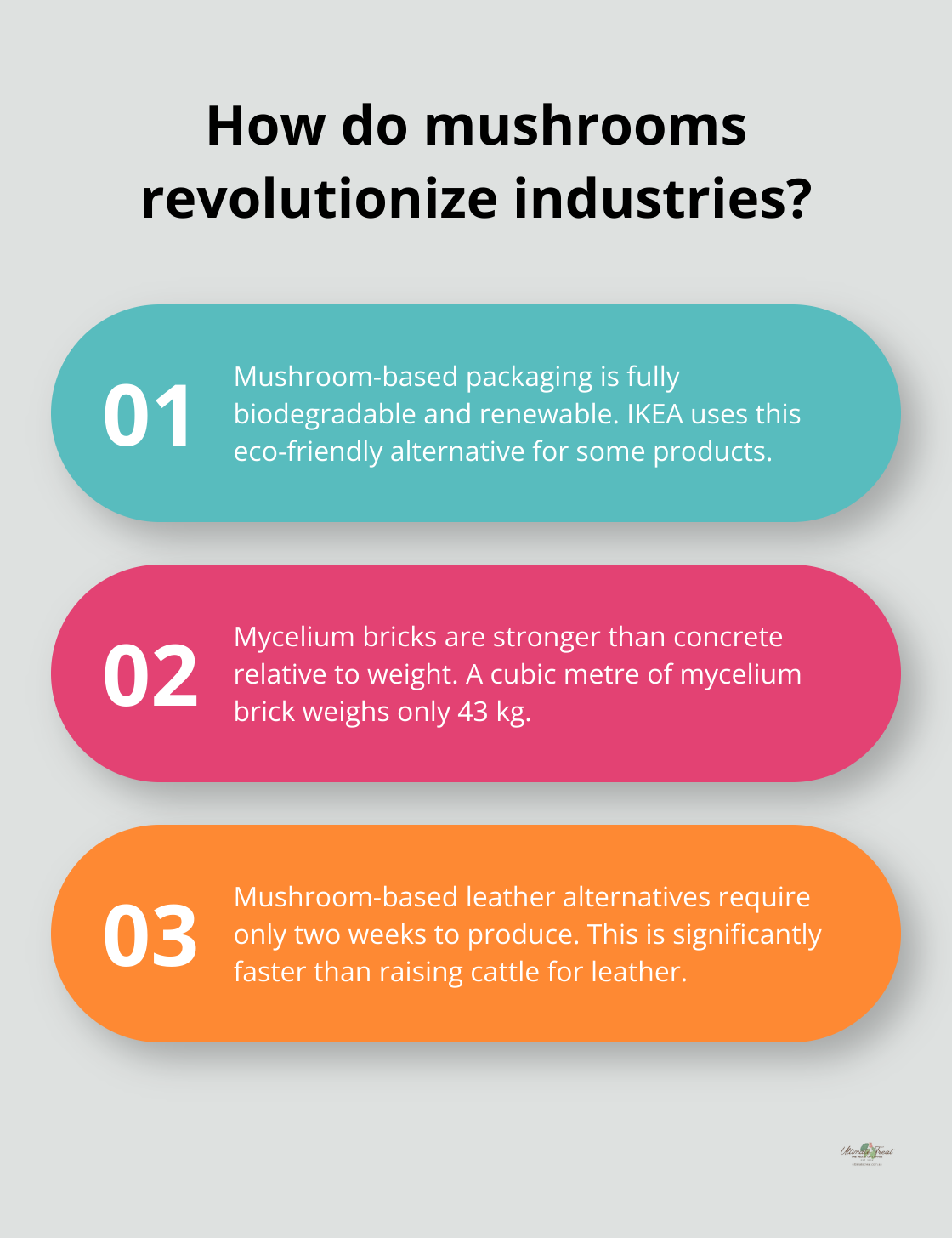 Infographic: How do mushrooms revolutionize industries? - mushroom environmental benefits