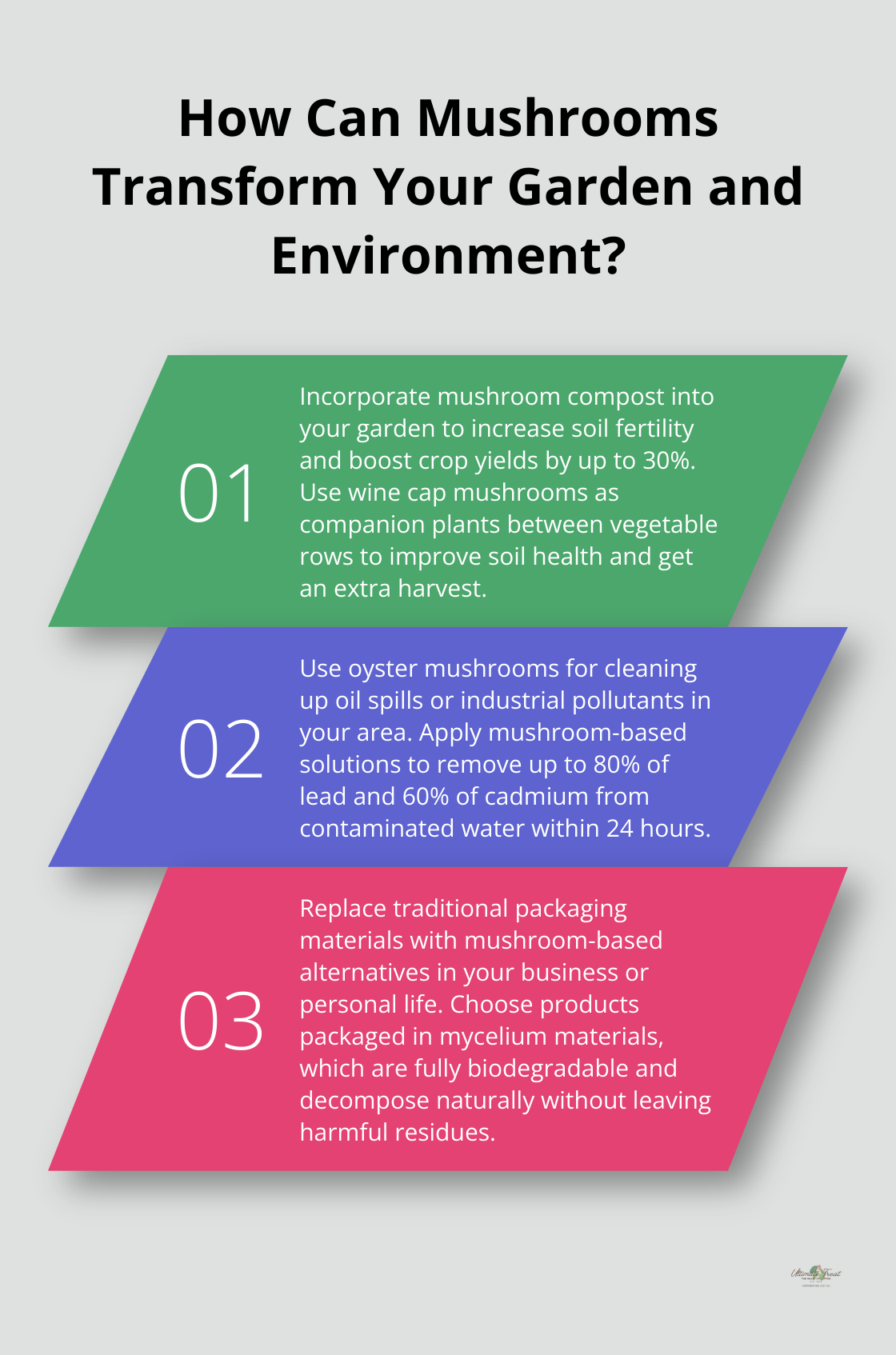 Infographic: How Can Mushrooms Transform Your Garden and Environment?