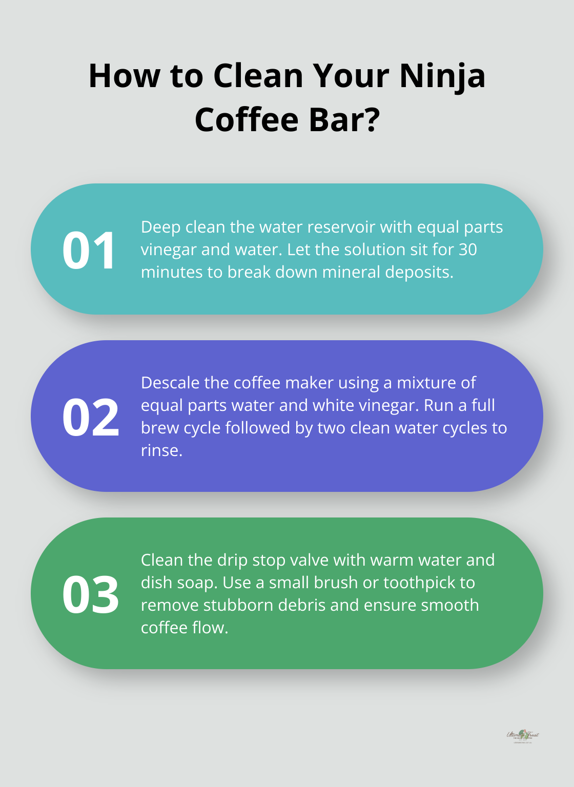 Infographic: How to Clean Your Ninja Coffee Bar?