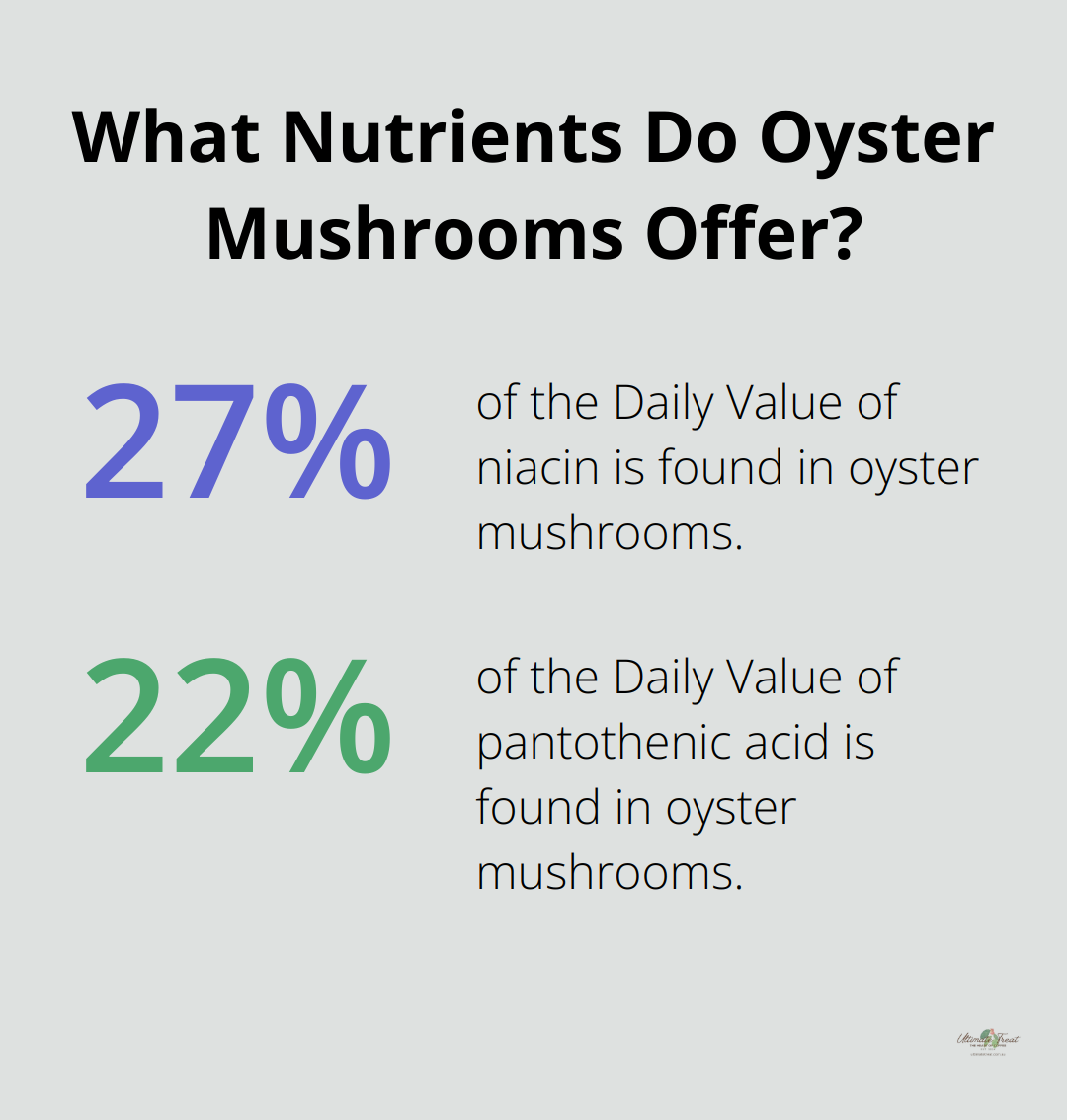 Infographic: What Nutrients Do Oyster Mushrooms Offer?